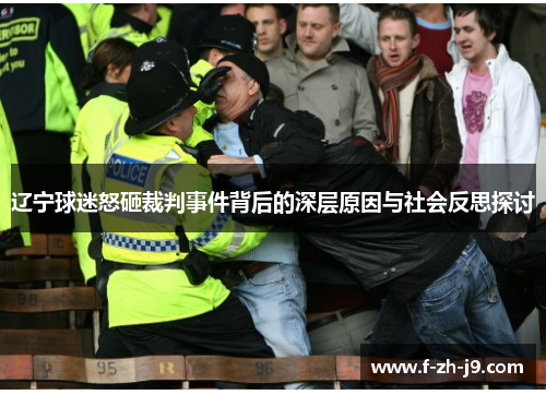辽宁球迷怒砸裁判事件背后的深层原因与社会反思探讨